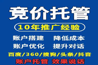 高效SEM托管公司案例对比分析